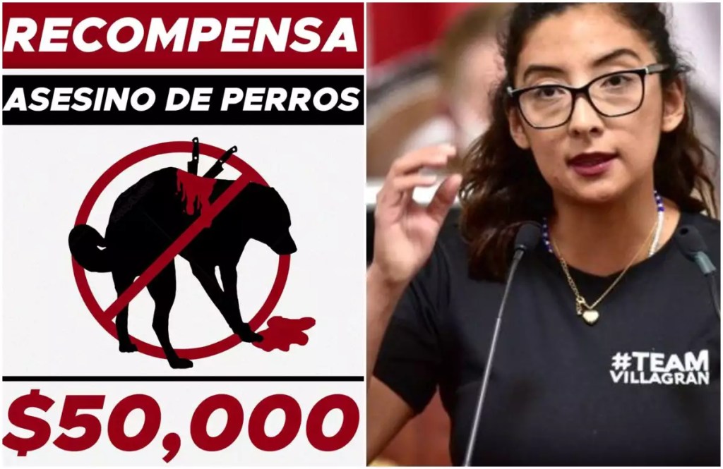 YO DIGO, YO&nbsp;PREGUNTO