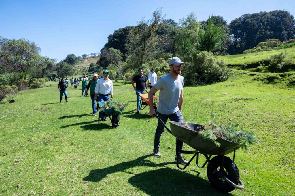 Anuncia PVEM reforestación de 715 mil 896 árboles, uno por cada Voto Verde en&nbsp;Edomex