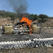 FGR destruye más de tres toneladas de diverso&nbsp;narcótico.