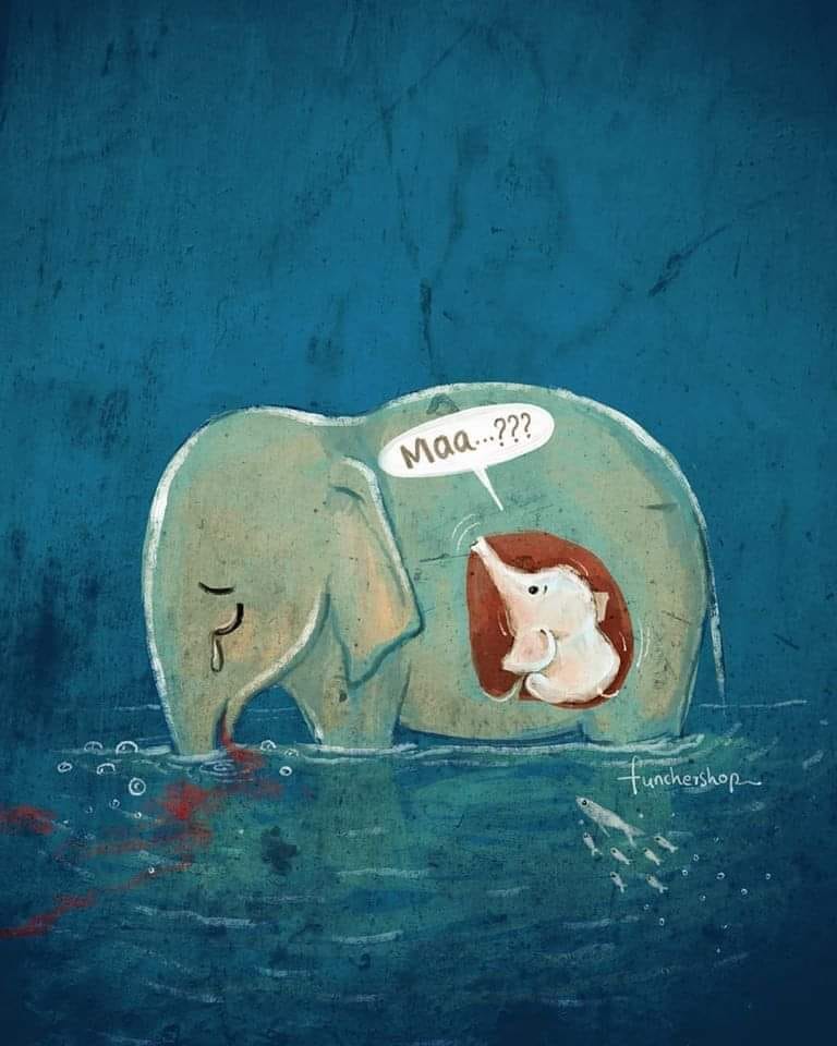 Recordemos lo que pasó en 2020 en la&nbsp;India.