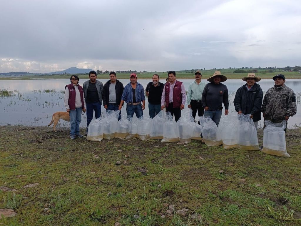 Busca Secretaría del Campo recuperar actividad pesquera en Presa&nbsp;Huapango.