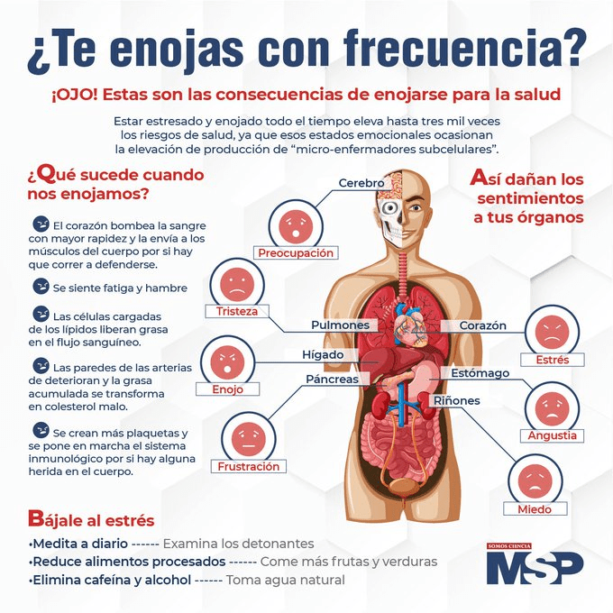 YO DIGO, YO&nbsp;PREGUNTO