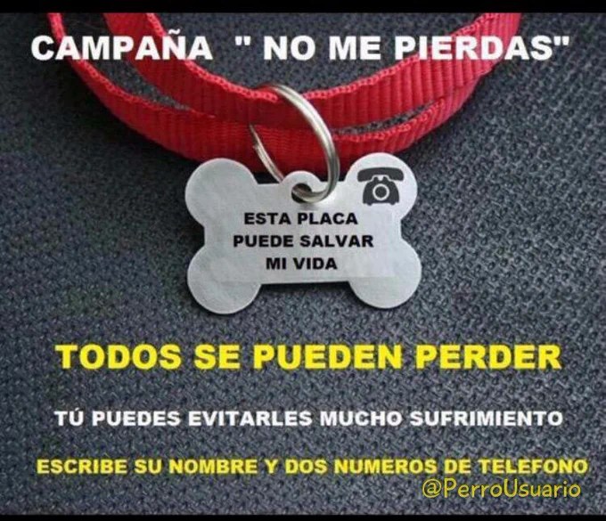 YO DIGO, YO&nbsp;PREGUNTO