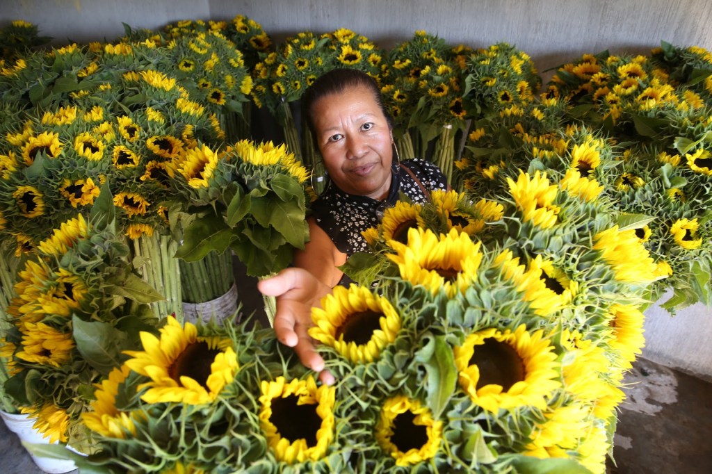 Gobierno de Delfina Gómez Álvarez cuenta con un fondo de apoyo ante fallecimiento de&nbsp;campesinos.