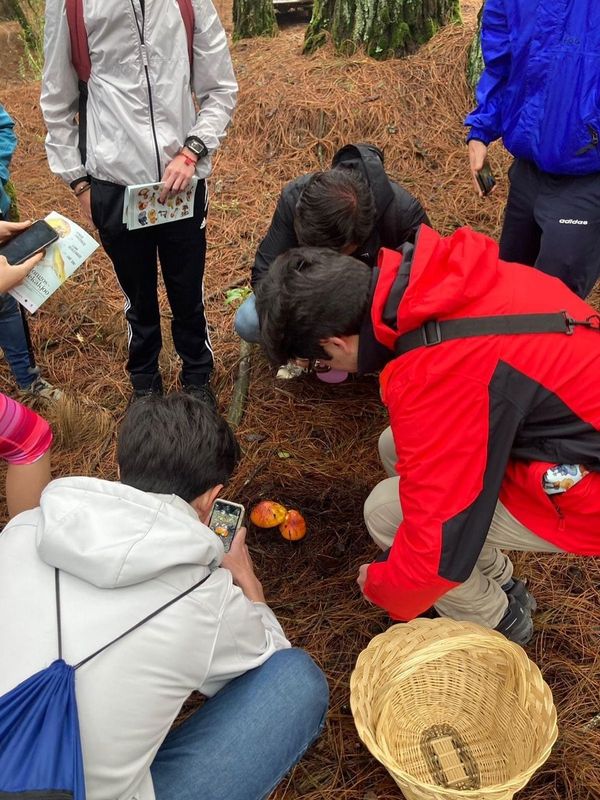 Destaca EdoMéx como destino de recorridos&nbsp;micoturísticos.