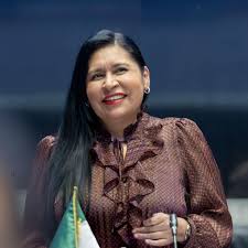 Beneplácito de Ana Lilia Rivera Rivera por la llegada de una mujer a la Presidencia de la&nbsp;República.