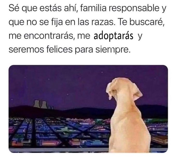 YO DIGO, YO&nbsp;PREGUNTO