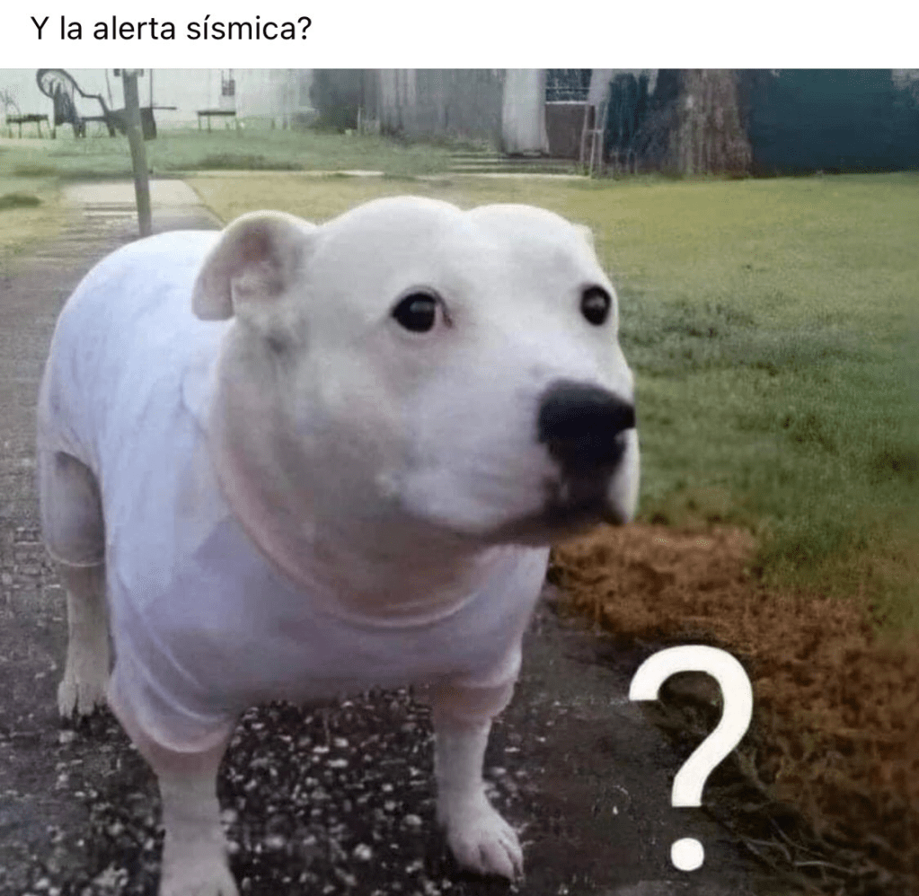 YO DIGO, YO&nbsp;PREGUNTO