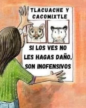 YO DIGO, YO&nbsp;PREGUNTO