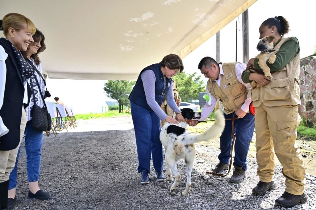 Refrenda Gobernadora Delfina Gómez Álvarez su compromiso con los seres&nbsp;sintientes.