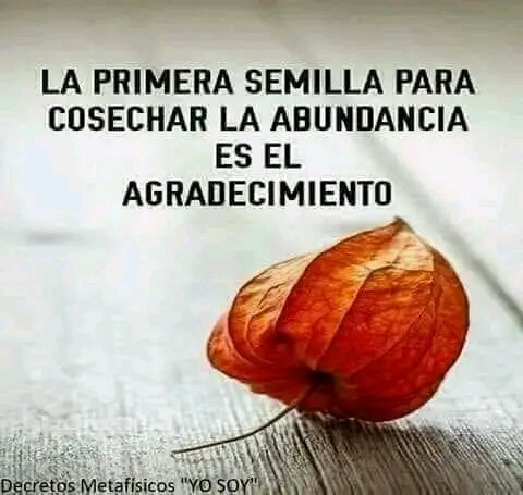 YO DIGO, YO&nbsp;PREGUNTO