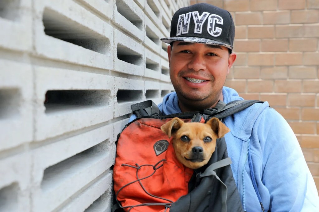 Esteriliza GEM a 204 animales de compañía en las Jornadas Itinerantes de la Secretaría de&nbsp;Bienestar.