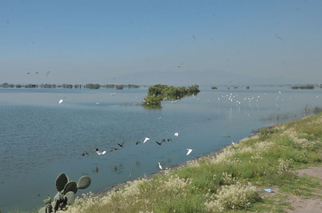 Retiran GEM y Marina 72 toneladas de basura en la Laguna de&nbsp;Zumpango.