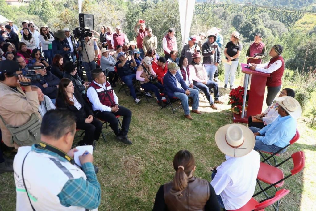 Cortan primer árbol de temporada navideña en el EdoMéx; disponen productores de 470 mil piezas a la&nbsp;venta.