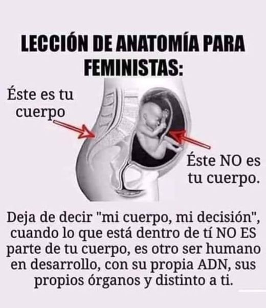 YO DIGO, YO&nbsp;PREGUNTO