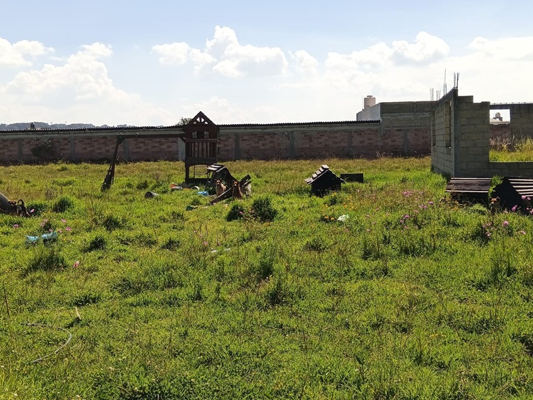 Rescatan Fiscalía Mexiquense, SSEM Y Centro de Bienestar Animal de Lerma Estado de México, a Tres Caninos en Condiciones de&nbsp;Maltrato.