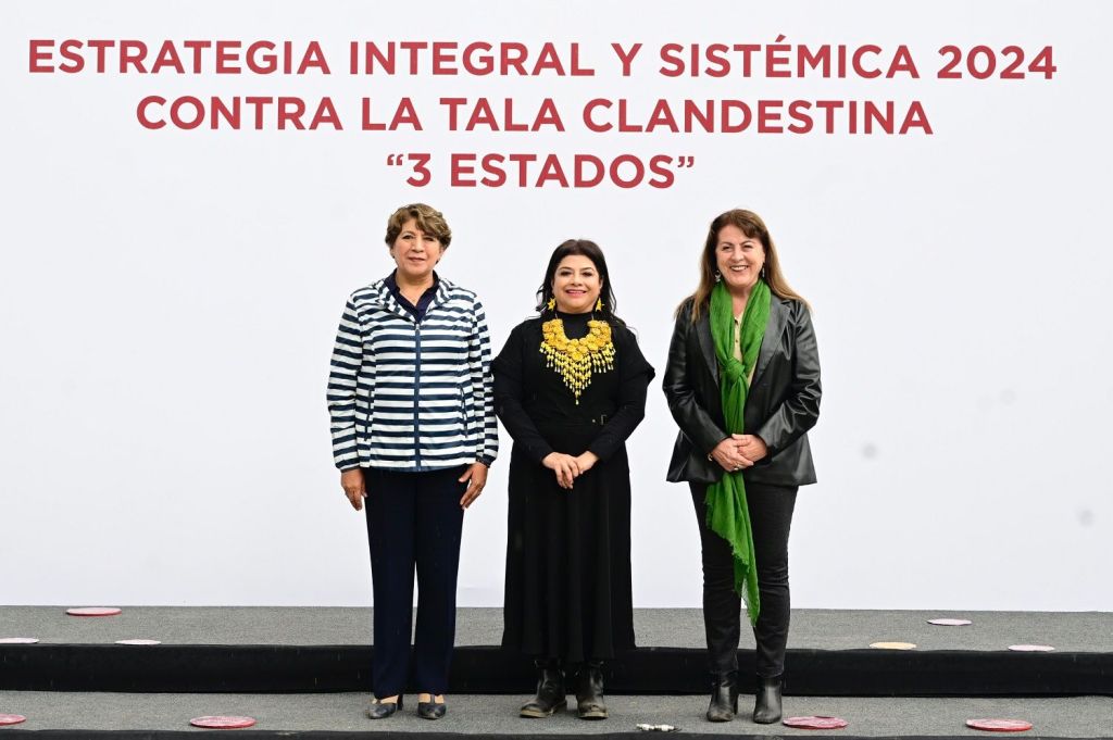 Lidera Gobernadora Delfina Gómez estrategia contra la tala ilegal de árboles en alianza con Morelos y&nbsp;CDMX.