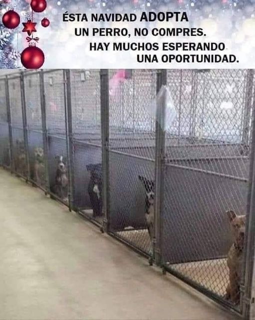 YO DIGO, YO&nbsp;PREGUNTO