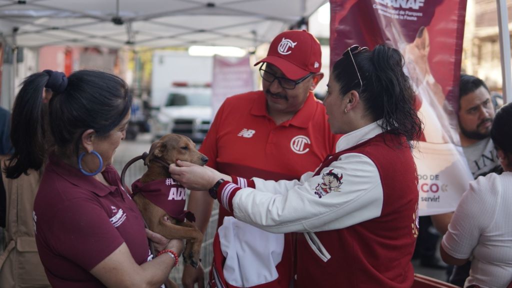 Los seres sintientes no son juguetes para regalar en Navidad; recomienda Cepanaf la adopción responsable de animales de&nbsp;compañía.