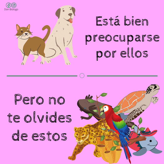 YO DIGO, YO&nbsp;PREGUNTO