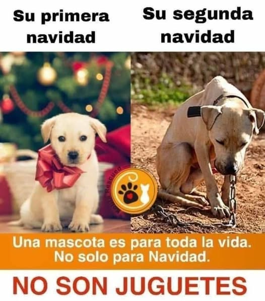 YO DIGO, YO&nbsp;PREGUNTO.