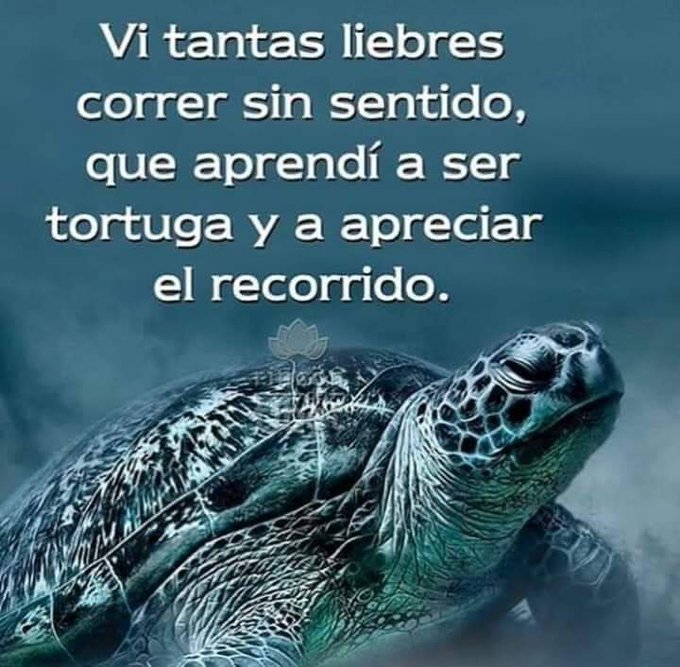 YO DIGO, YO&nbsp;PREGUNTO