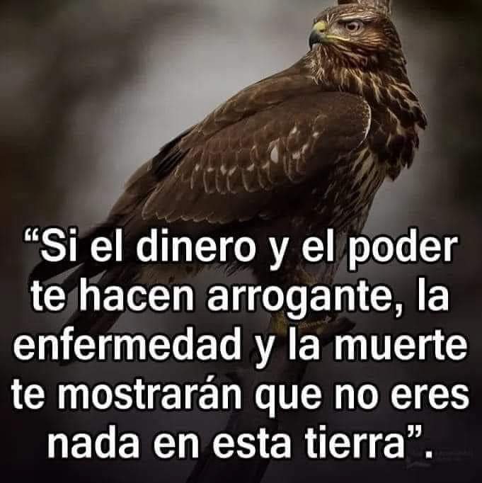 YO DIGO, YO&nbsp;PREGUNTO