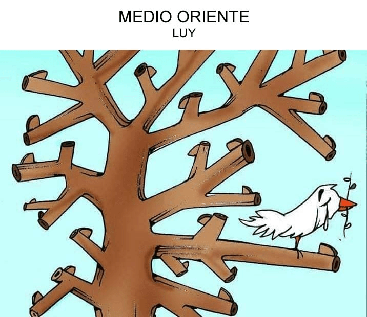 Medio Oriente.