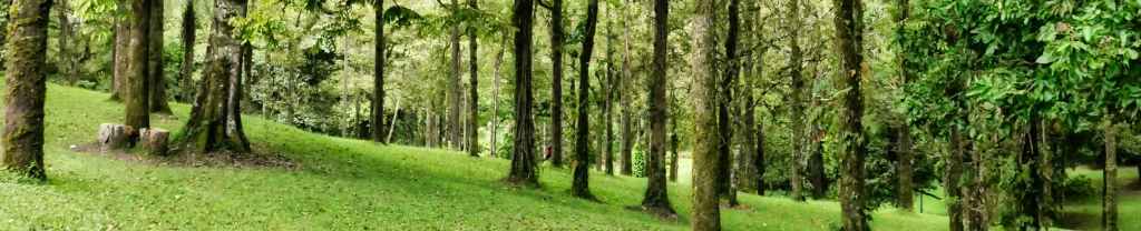 ¿Qué le preguntarías a&nbsp;Jesús?