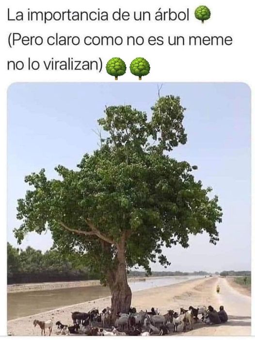 YO DIGO, YO&nbsp;PREGUNTO