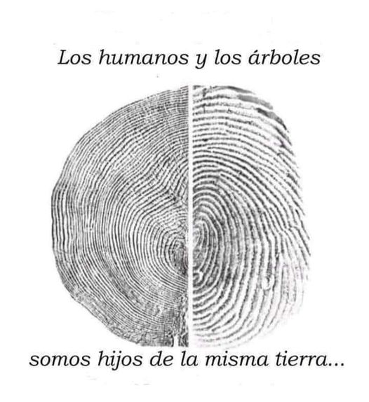 YO DIGO, YO&nbsp;PREGUNTO