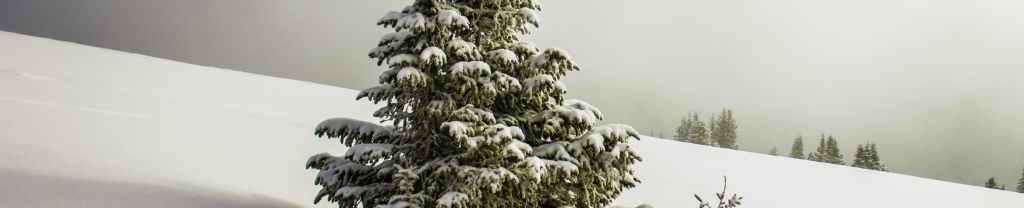 Explorando la verdad.