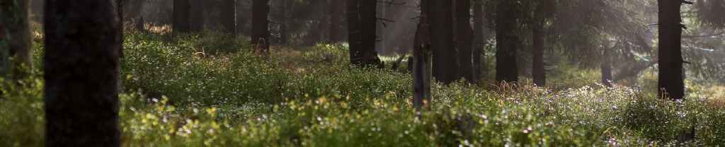 Un nuevo comienzo con&nbsp;Dios.