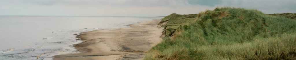 Lo que revelan las&nbsp;Escrituras.