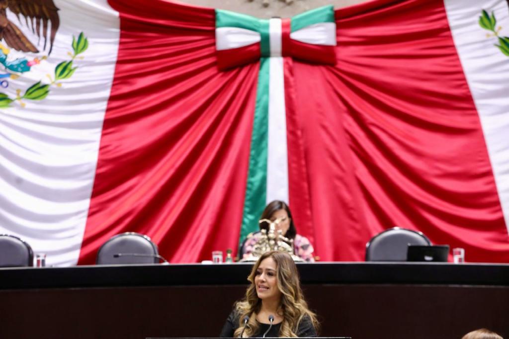 «¡No a La Reforma del INFONAVIT!», Morena busca apropiarse de los Recursos de las Subcuentas de Vivienda: Diputada del PRI Xitlalic&nbsp;Ceja.