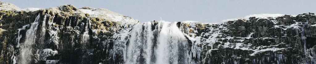 El gozo de&nbsp;dar.