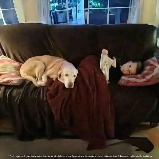 Mi Mascota y&nbsp;Yo.