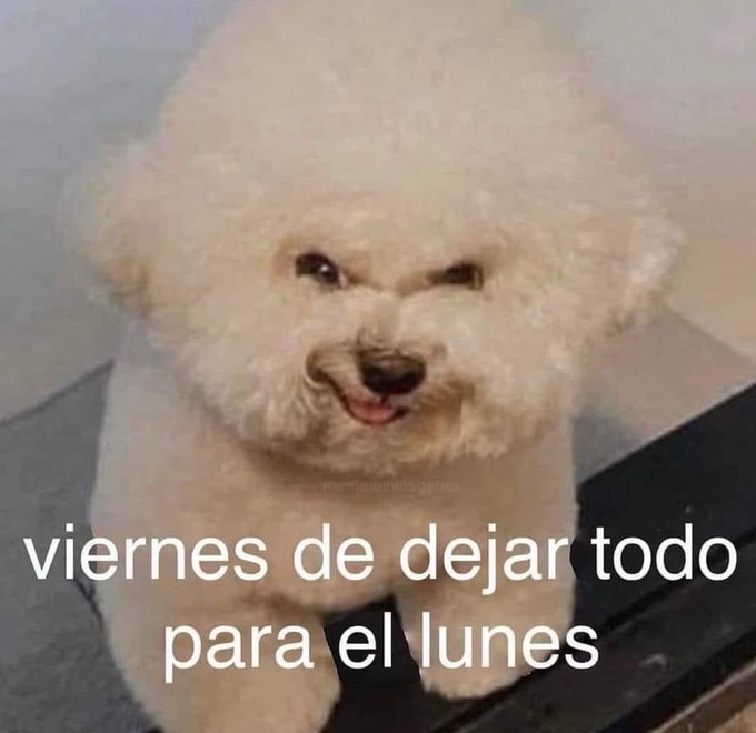 YO DIGO, YO&nbsp;PREGUNTO