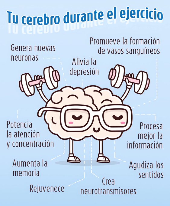 YO DIGO, YO&nbsp;PREGUNTO