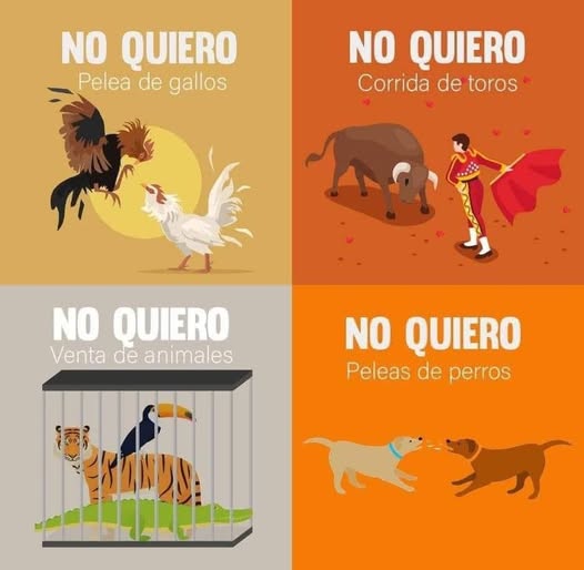 YO DIGO, YO&nbsp;PREGUNTO