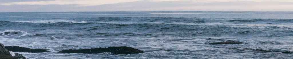 Volver a Levantarse.