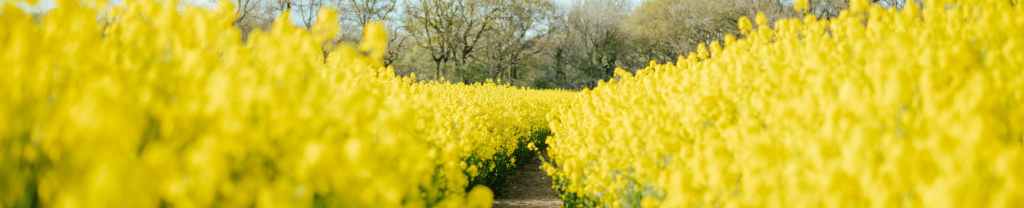 Entrega tus preocupaciones a&nbsp;Jesús.