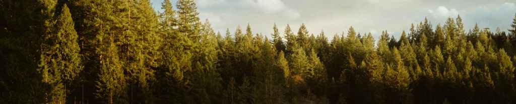 Cuando ellos no&nbsp;ven.