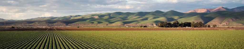 Lectura, escritura y&nbsp;Jesús.