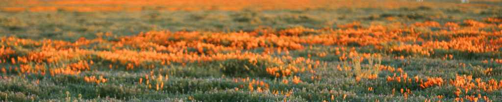 Hecho para hacer el bien para&nbsp;Dios.