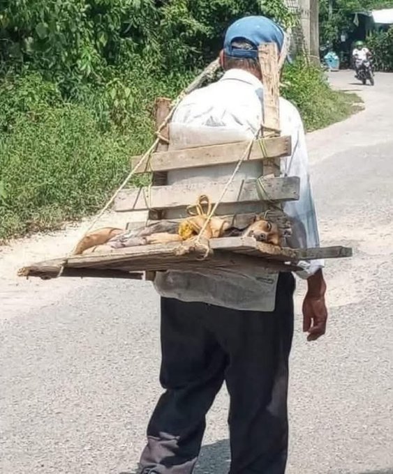 EL ÚLTIMO VIAJE&nbsp;JUNTOS.