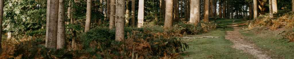 Confiar de Verdad en&nbsp;Dios.