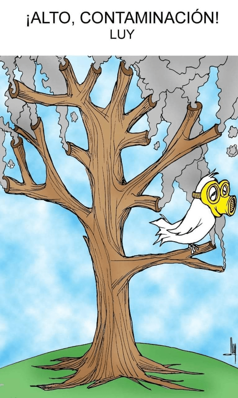 Alto, Contaminación.