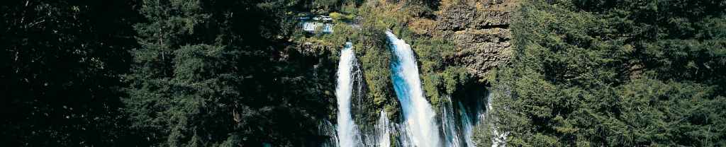 Amar a otros con el amor de&nbsp;Dios.