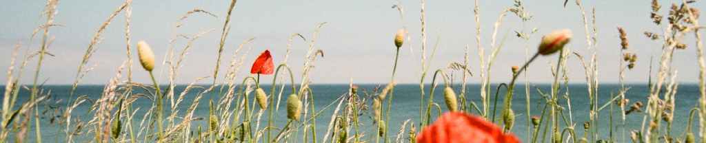 No murmurar contra&nbsp;Dios.